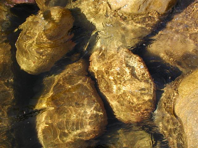 Rocks and Ripples